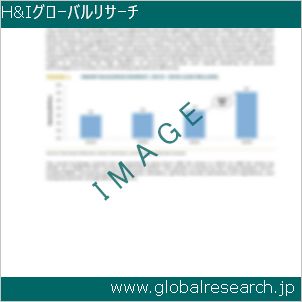 グローバルリサーチ調査レポートのイメージ